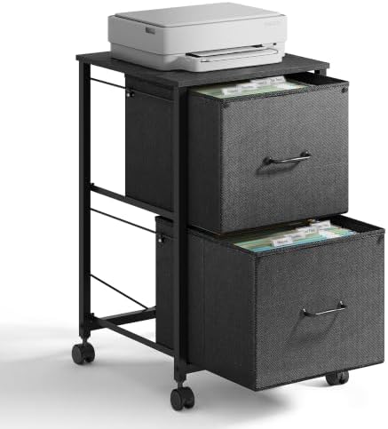 DEVAISE 2 Drawer Mobile File Cabinet, Rolling Printer Stand by DEVAISE