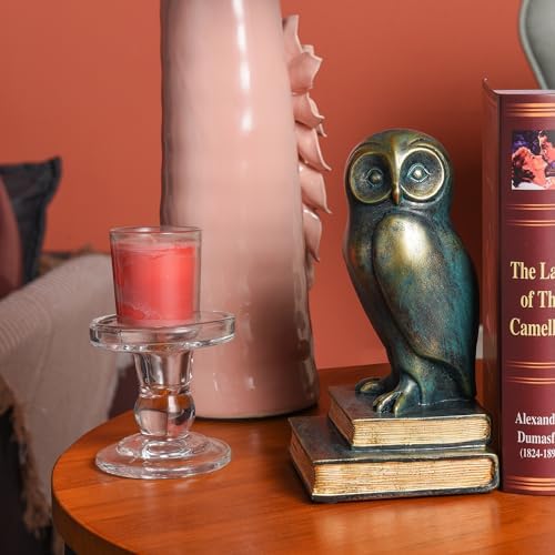 Book Ends for Shelves, Owl Decorative Bookends Bronze Bird Book Stopper Unique Kids Book Holders with Anti-Slip Base Luxurious Bookends for Kids Rooms Office Home Decor(Bronze) - Image 5