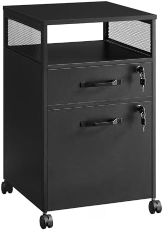 VASAGLE 2 Drawer File Cabinet with Lock, Rolling Printer Stand by VASAGLEbySONGMICSHOME