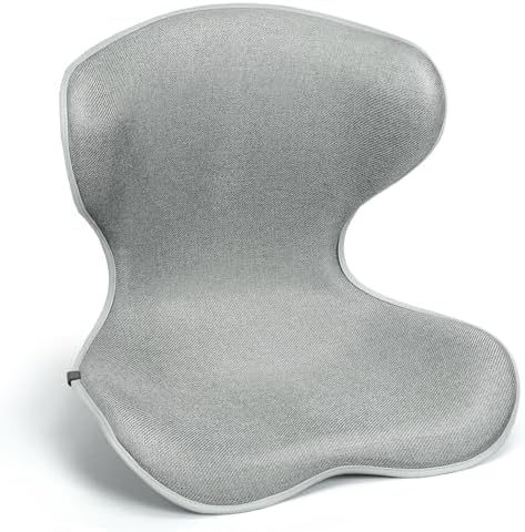 Season Guard Ergonomic Lumbar Support Pillow, Back Pain Posture Corrector by SeasonGuard