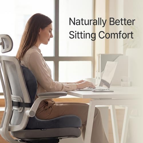 Navizam Lumbar Support Pillow for Office Chair with Memory Foam Cushion - Image 2