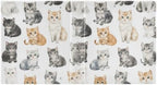 Cats White Cute Decorative 3 Ring Binder 1.5 Inch Large View Binders with Pockets Holds 200 Sheets File Organizer for Office College School, 1 Pack - Image 2