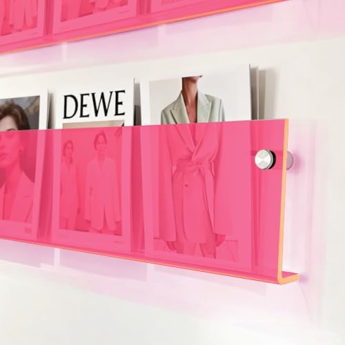 ROYALITA 2-Pack Acrylic Magazine Holder Brochure Holder, Pink 36 Inch by ROYALITA