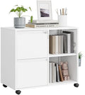 MIIIKO 2 Drawer File Cabinet with Lock, Metal Rolling Printer Stand Filing Cabinets with Drawers for Home Office,A4, Letter Size File Folders(White) by MIIIKOOfficeFurniture