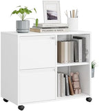 MIIIKO 2 Drawer File Cabinet with Lock, Metal Rolling Printer Stand Filing Cabinets with Drawers for Home Office,A4, Letter Size File Folders(White) by MIIIKOOfficeFurniture