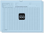 Accounts Payable Voucher Envelopes General Accounting Style, Blue 300 Pack by Unknown