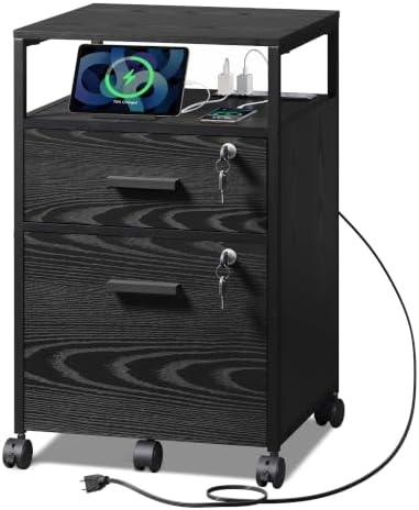 DEVAISE 2 Drawer File Cabinet with Lock, Wood Printer Stand, Black by DEVAISE