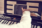 Casio Casiotone CT-S300 Touch-Sensitive Portable Keyboard | 400 Tones - Image 5