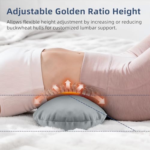 Buckwheat Lumbar Support Pillow for Bed Sitting and Couch Support, Firm Ergonomic Back Pillow for Lower Back Pain Relief, Small Natural Back Support Pillow Recliner Pillow - Image 2