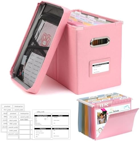 DOSTATNI School Years Organizer Kit K-12 School Years Memory Keeper with 15 Hanging File Folders Plastic 4 different Labels Memory Keepsake Box for kids Storage Pictures File Keeper (Pink) by DOSTATNI