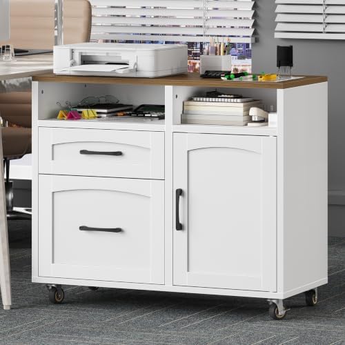 RALGEND Lateral File Cabinet 2 Drawers, Filing Cabinets for Home Office by RALGEND