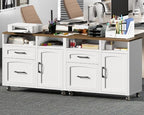 RALGEND Lateral File Cabinet 2 Drawers, Filing Cabinets for Home Office - Image 4