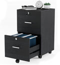 VINGLI 2-Drawer File Cabinet with Lock, Small Rolling Wood Filing Cabinet for Hanging Letter Size Filings with Tabs, Mobile Under Desk File Organizer for Home Office, Classic Black, 27.2" H by VINGLI