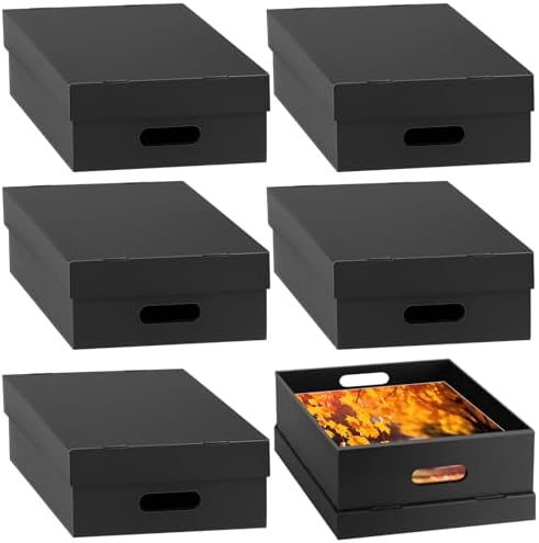 AOBOPLE 6 Pack Photo Storage Box,9" x 12" x 4" Archival Storage Box with Lids,Protective Storage Box for Photo,Pictures,9x12 Documents, Keepsakes and Jewelry Home and Office Organizer by AOBOPLE