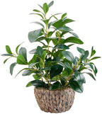 AlphaAcc Fake Indoor Ficus Plant in Rattan Basket Planter Home Office Decor by AlphaAcc