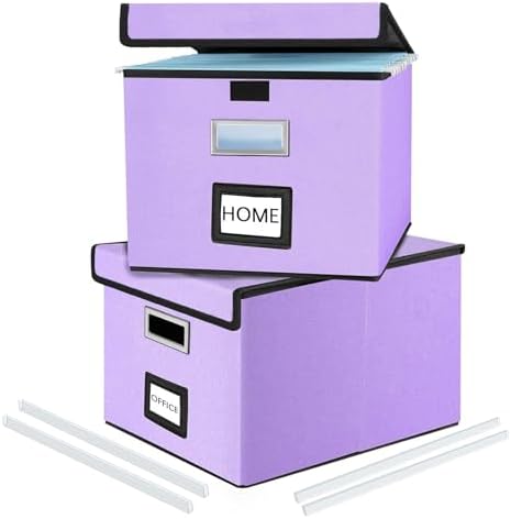 File Organizer Box with Lids, Collapsible File Folder Organizer by Huolewa