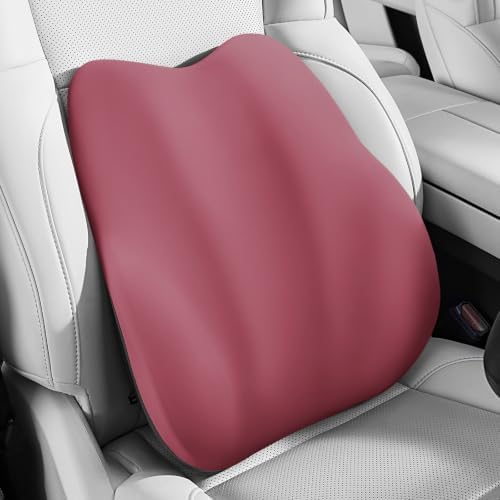BEBAS Ergonomic Lumbar Support Pillow for Car, Memory Foam Car Back Cushion by BEBAS