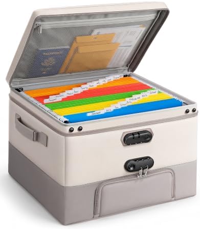 DEEGO Fireproof Document Box with 2 Locks, 10 Hanging File Folders by DEEGO