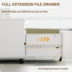 2 Drawer Mobile Low Profile File Cabinet with Lock and 4 Keys - Image 5