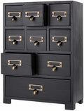 Apothecary Drawers Apothecary Cabinet with Drawers, Black by PACKGILO
