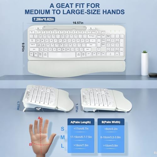 EAYBLLY 2.4G Wireless Ergonomic Keyboard, Full Size Wave Keys with Memory Foam Wrist Rest & 7.28in Phone Holder, USB-C Adapter Included for Windows Mac Chrome OS, Office or Home (White) - Image 2