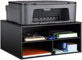 EMERIT Printer Stand for Desk - 2 Tier Desktop Printer Stand with Paper Storage, Printer Riser Organizer for Home Office, Holds up to 30 lbs, Black by eMeritDirect