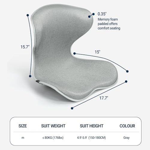 Season Guard Ergonomic Lumbar Support Pillow, Back Pain Posture Corrector - Image 4