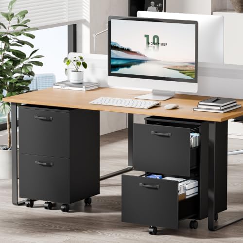 DUMOS 2 Drawer Storage Cabinet, Rolling Under Desk Storage, Black - Image 6