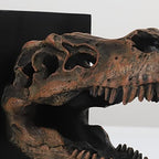 Tyrannosaurus Rex T-Rex Skull Bookend Decorative Book Decor,Home Decorative Resin Bookshelf,Paper Weights, Book Ends,Bookend Supports, Book Stopper,Desk Decor,Dinosaur Head Faux Taxidermy - Image 5