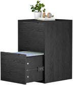Two Drawer File Cabinet, Black Wood Filing Cabinets for Letter Size/Hanging Files, Small Under Desk File Cabinets for Home Office, Assembly Required by FATIGOSstoragecabinet