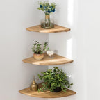 Corner Shelves, Floating Corner Shelf, Set of 3 Solid Oak Wood Corner Wall Shelves, Round End with Wire Hole Shelving for Small Plant for Bedroom Kitchen, Living Room (Size 9/10/12in) by Coamily