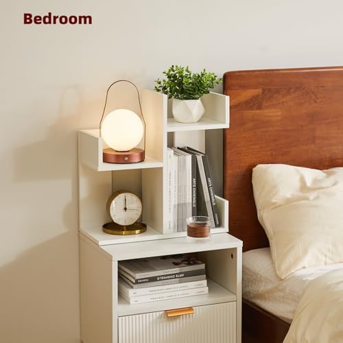 Aibiju Small White Desk Organizer, 2 Tier Tree Cactus Bookshelf, Desktop Organizer Wood, Small Plant Shelf White YD-DSR002W - Image 4