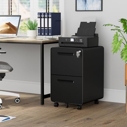 2 Drawer Mobile File Cabinet with Lock, 4 Keys and 25 Letter File Folders - Image 2