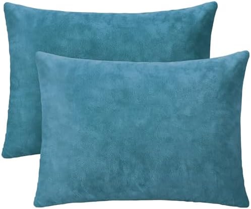 1 MIDDLE ONE 2 Pack Small Pillow, 16 X 12 Inches, Memory Foam Mini Pillow for Travel, Camping, Sleeping, Nap and Neck, Knee, Lumbar Support, Tiny Cushion for Pet, Dogs (Lake Blue) by 1MIDDLEONE