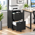 OLIXIS 2 Drawer Storage Cabinet, Rolling Under Desk Storage, Black by OLIXIS