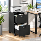 OLIXIS 2 Drawer Storage Cabinet, Rolling Under Desk Storage, Black by OLIXIS