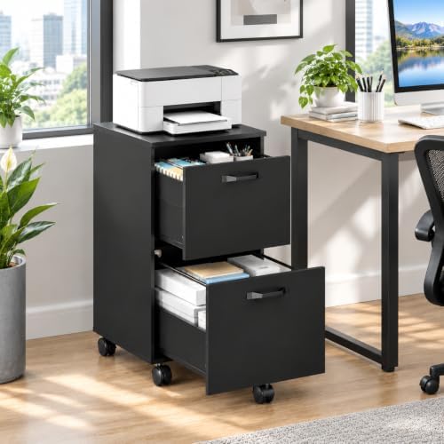 OLIXIS 2 Drawer Storage Cabinet, Rolling Under Desk Storage, Black by OLIXIS