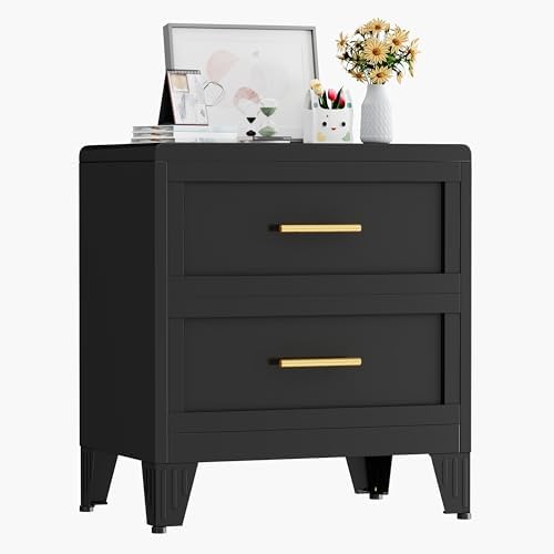 Ckzbx Metal Dresser Under Desk Metal Filing Cabinets, 26.42" H Drawer Chests of Drawers for Office, Garage (2 Drawers Black 24inch Wide) by Ckzbx