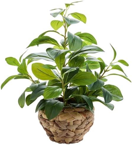15" Fake Broad Leaf Plant Seagrass Basket Tabletop Decor by Unknown