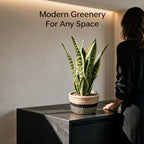15" Artificial Snake Plant in Black Woven Planter Realistic Faux Sansevieria with Lush Green Leaves Modern Fake Potted Decor for Home Office Living Room and Bedroom - Image 4