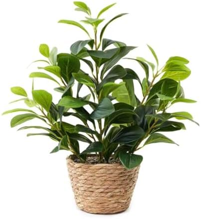 16 inch Boho Artificial Peperomia Potted Plant in Woven Basket Planter Lifelike Two Tone Green Leaves Faux Indoor Branches for Home Office Desk Shelf Bathroom Table Decor by EZBOHO