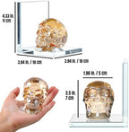 Glass Skull Book Ends for Shelves with Golden Crystal Skulls - Image 5