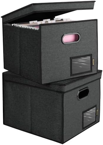 BALEINE File Organizer Box with Lid, Collapsible Hanging File Storage Box by BALEINE