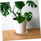Plastic Flower Pot Cork Pads 10pcs for Indoor Desk Use - Image 3