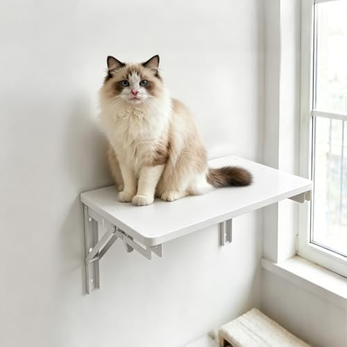 Folding Shelf Wall Mounted for Small Space, - Image 2