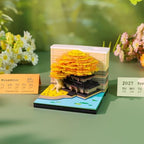 2027 3D Paper Carving Desk Calendar With LED Light - Image 3