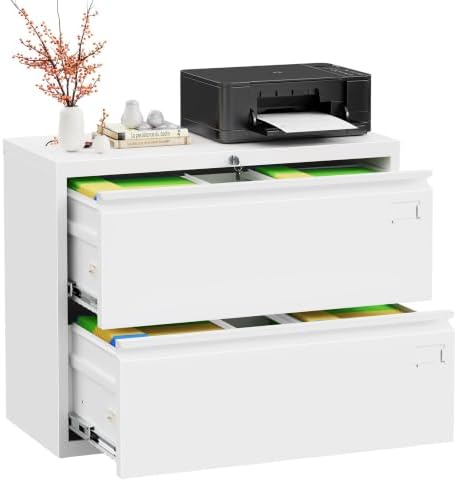 INTERGREAT Lateral File Cabinet 2 Drawer, White Metal File Cabinets for Home Office, Locking File Cabinet for Letter/Legal/F4/A4 Size Hanging Files, Easy Assembly, Name Tag by INTERGREAT