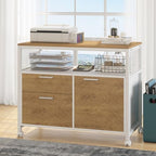 Tribesigns Modern File Cabinet with Drawers for Letter-Sized File and Door, Lockable lateral Filing Cabinet Printer Stand with Storage Shelves and with Rolling Caster for Home Office (Light Walnut) by Tribesigns