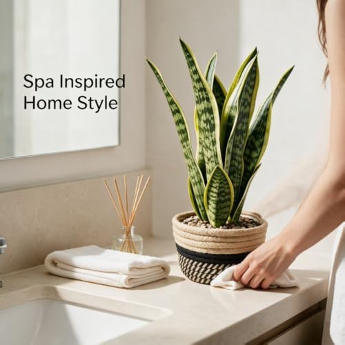 15" Artificial Snake Plant in Black Woven Planter Realistic Faux Sansevieria with Lush Green Leaves Modern Fake Potted Decor for Home Office Living Room and Bedroom - Image 7