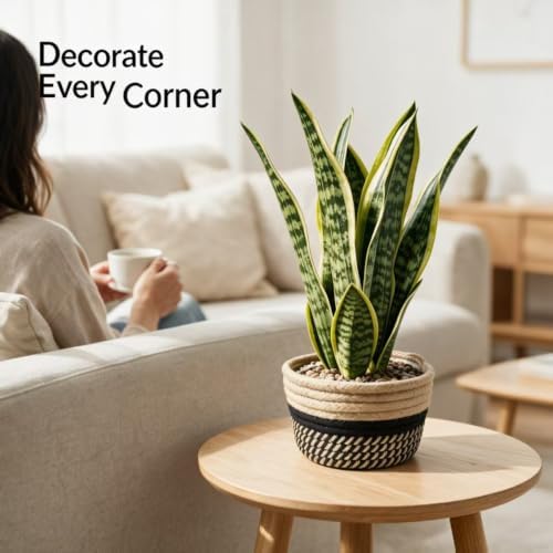 15" Artificial Snake Plant in Black Woven Planter Realistic Faux Sansevieria with Lush Green Leaves Modern Fake Potted Decor for Home Office Living Room and Bedroom - Image 6